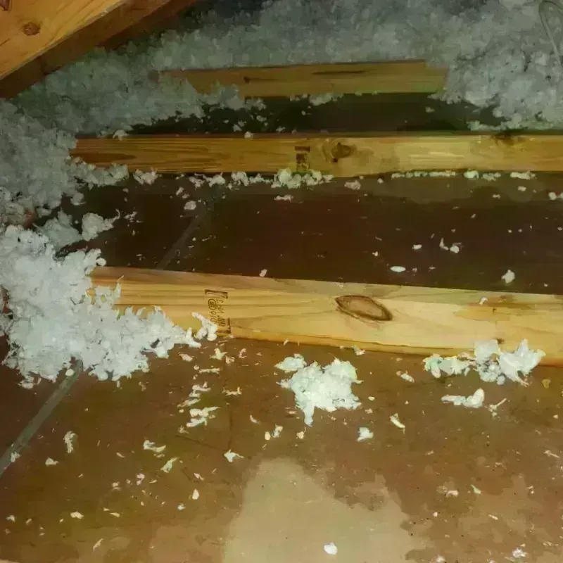 Attic Water Damage in Akron, OH