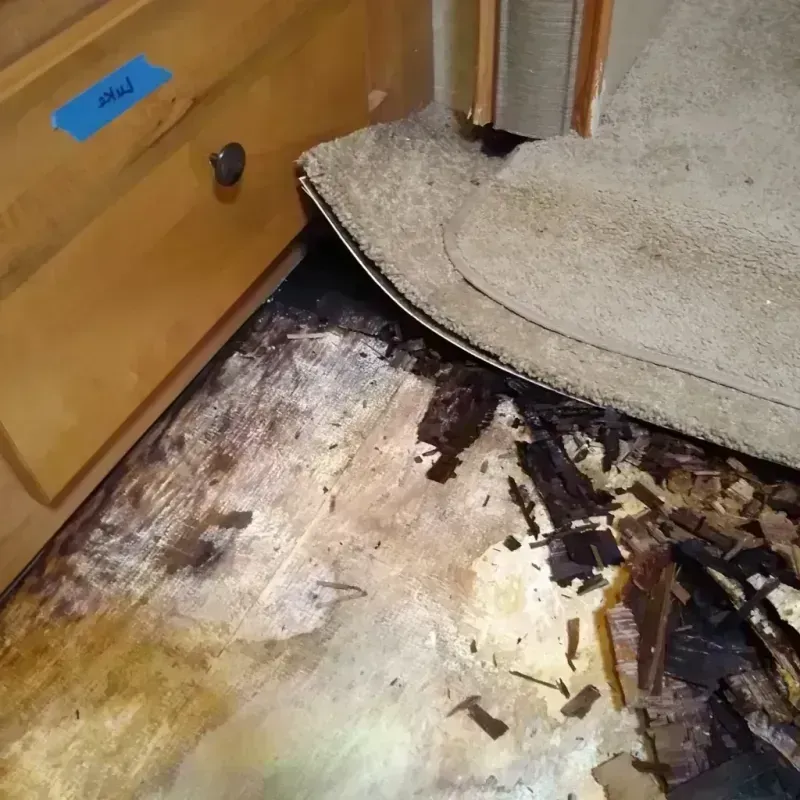 Wood Floor Water Damage in Akron, OH